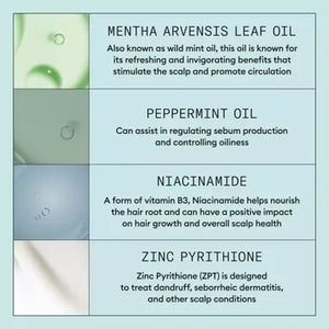 Nioxin Scalp Recovery Kit: Anti-Dandruff