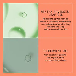 Nioxin System 4 Conditioner