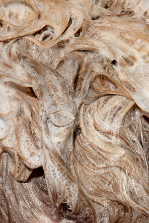 Omniblonde Rejuvenation Shampoo