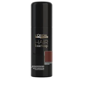 L'Oreal Professionnel Hair Touch Up