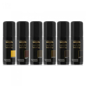 L'Oreal Professionnel Hair Touch Up